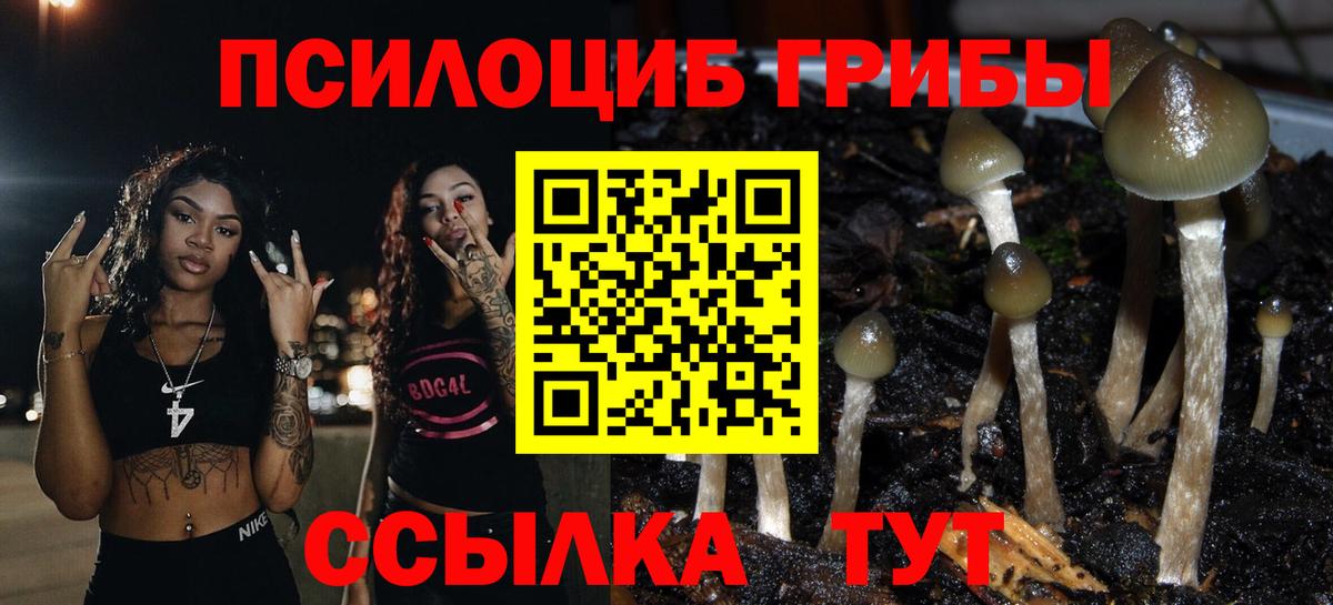 Псилоцибиновые грибы мухоморы  Вход с VPN  Новый Уренгой 