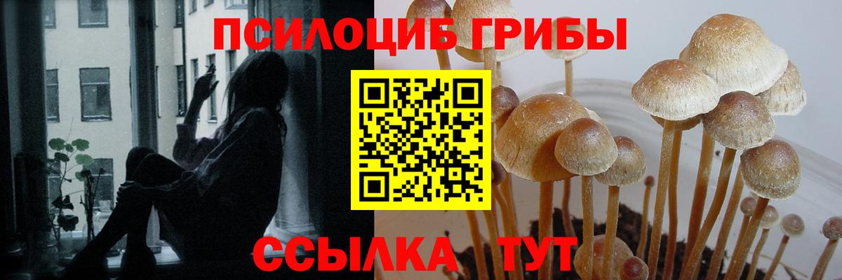 Галлюциногенные грибы GOLDEN TEACHER Новый Уренгой